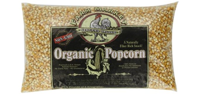 Rainbow Gem Corn Kernel Seeds - Organic, Heirloom, Non-GMO Popcorn - 20+ Seeds For Planting