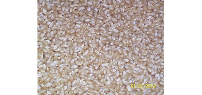Quality Organic Heirloom Popcorn Kernels - Organic Non-GMO Popcorn Kernels