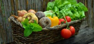 Best Organic Fertilizer for Vegetables