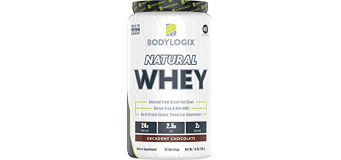 Bodylogix 24 Grams - Best Organic Whey Protein