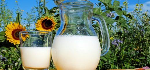 Best organic milk