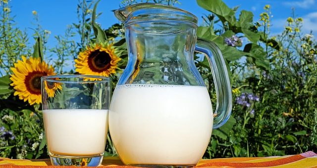 Best organic milk