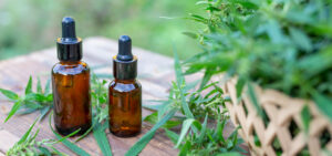 Organic hemp oil
