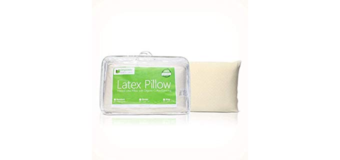 Organic Textiles Latex - Organic Pillows