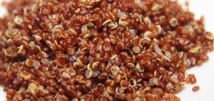 Organic Quinoa Red