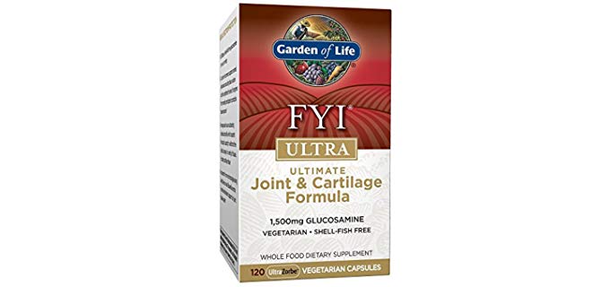 Garden of Life FYI ULTRA - Organic Joint and Cartilage Support