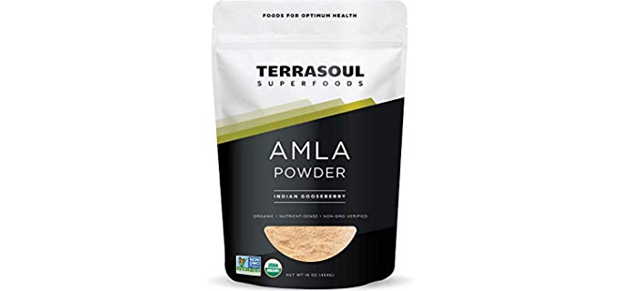 Terrasoul Superfoods Indian - Organic Amla Berry Powder