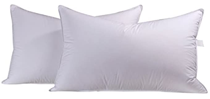 Eastwarmth Natural - Goose Down & Feather Pillows