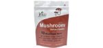 Jetsu 10 Blend - Organic Mushroom Powder