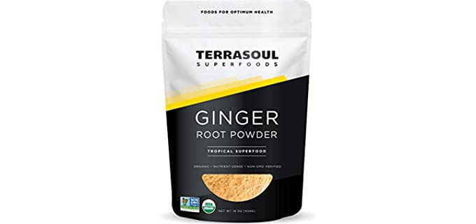 Terrasoul Superfoods Raw - Organic Ginger Powder