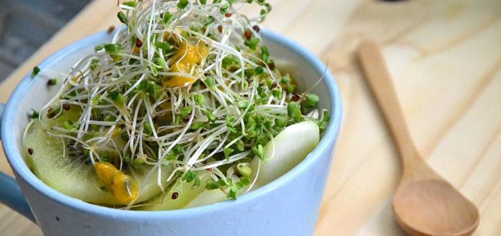 Organic Broccoli Sprouting Seeds