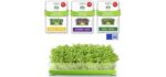 BIO NATURO Grow-Kit - Soil- Free Organic Arugula Sprouting Seeds