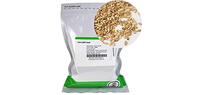 Mountain Valley Seed Company Husk-Free - Organic Hulless Barley Sprouting Seeds