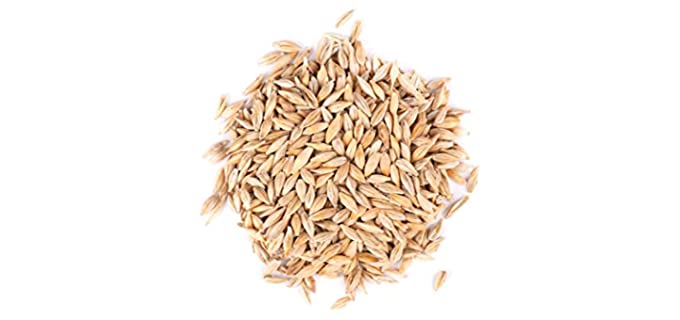 Thunder Acres 5-LB - Organic Barley Sprouting Seeds