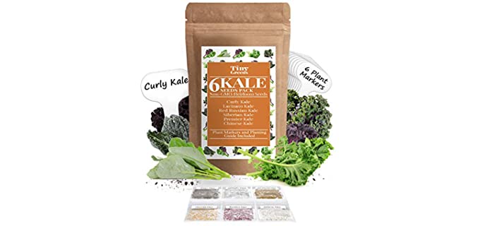 Tiny Greens Non-Modified - Kale Seeds 6 Collection Pack