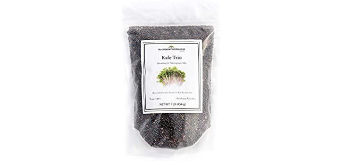 Rainbow Heirloom Non-GMO - Organic Kale Sprouting Seeds