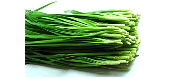 Kuting Store Non-Hybrid - Organic Quick-Grow Garlic Seeds