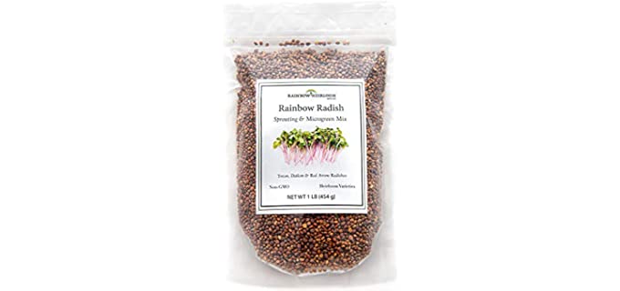 Rainbow Heirloom Seed Co. Mix - Radish Sprouting Seed
