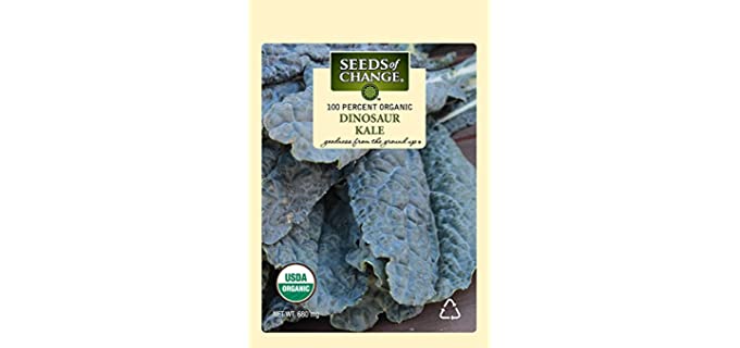Seeds of Change Non-Hybrid - Certified Organic Dinosaur Kale Seeds