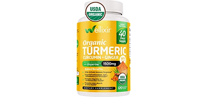Wellixir  Antioxidant - Efficient Curcumin Supplement