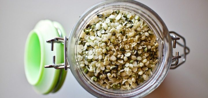 Organic Hemp Seeds