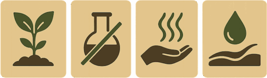 Best Natural & Organic Hair Wax Features