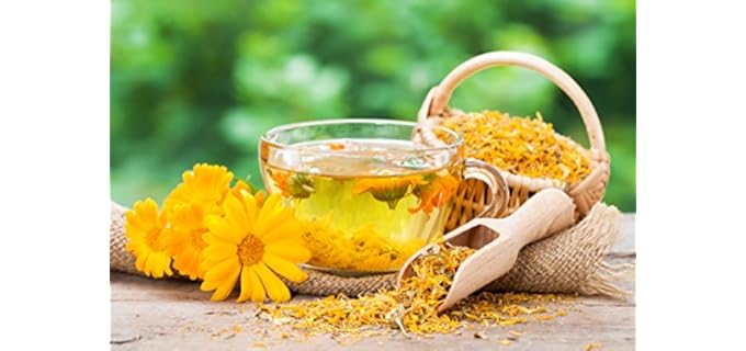 Best Organic & Herbal Teas - Organic Aspirations