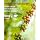 Frujava Organic Energy Drink