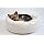 Generic Organic Canvas Bed