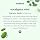 Method Bathroom Cleaner