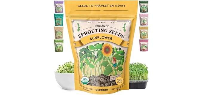 Seedboy Black Oil Sunflower